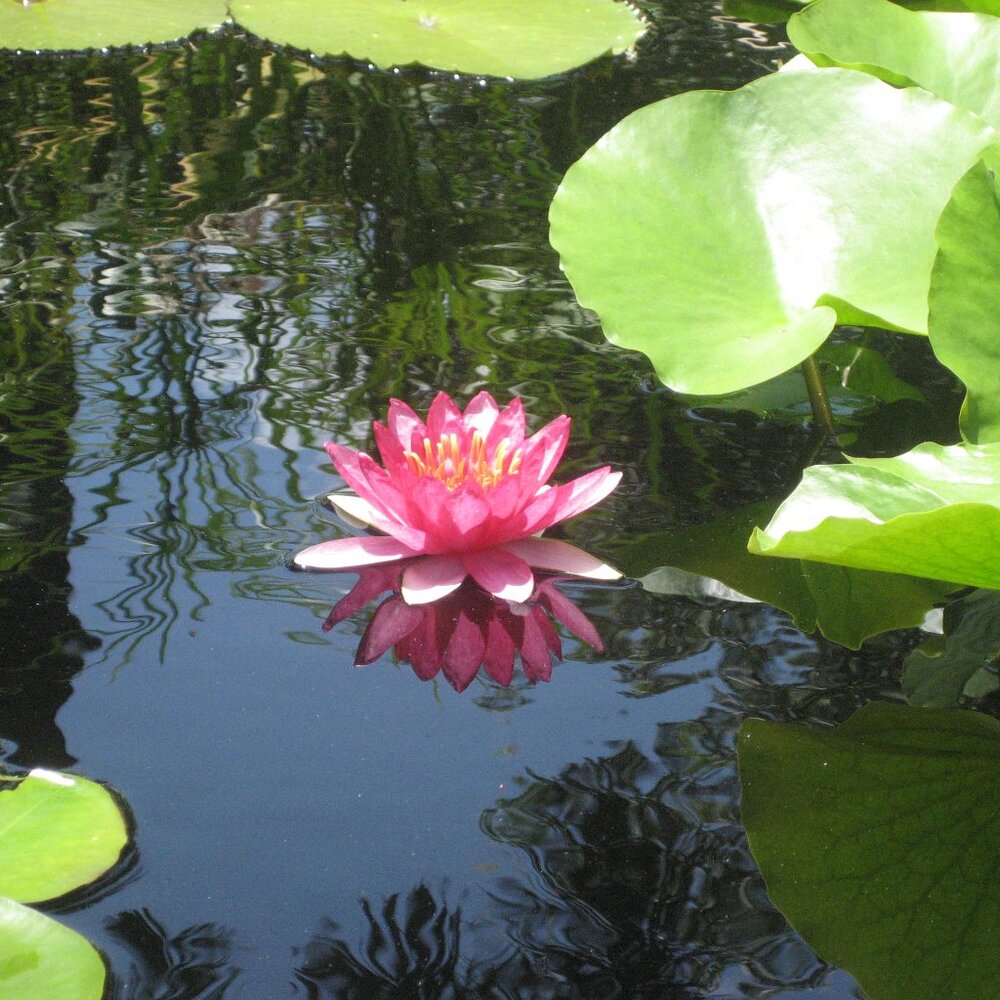 Jenny's Closet – Curated Finds for a Fresh Wardrobe Refresh!